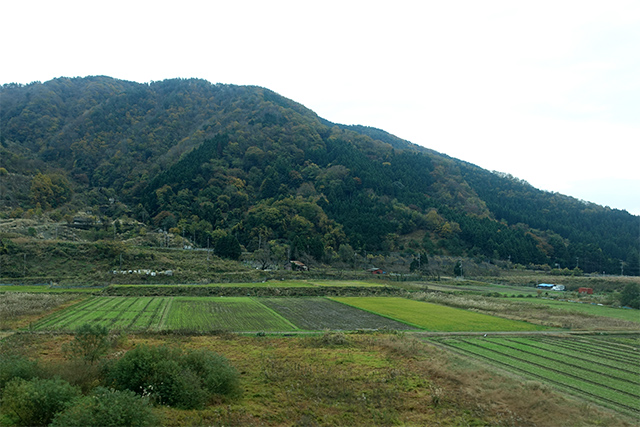 20151125-DSC00911