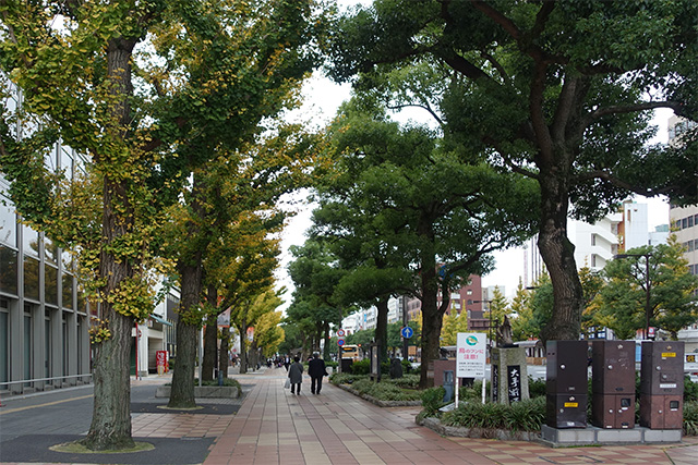 20151125-DSC00964