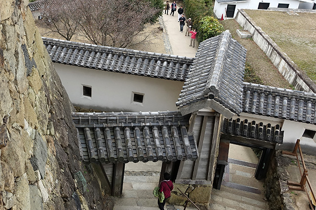 20151125-DSC01047