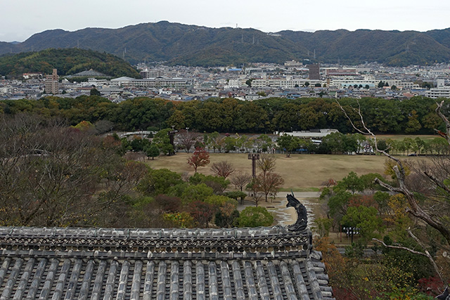 20151125-DSC01051