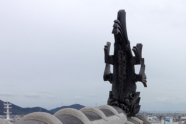 20151125-DSC01083