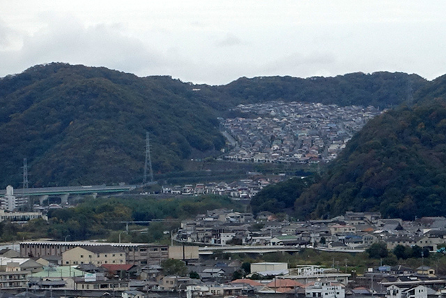 20151125-DSC01094