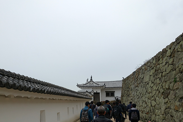 20151125-DSC01133