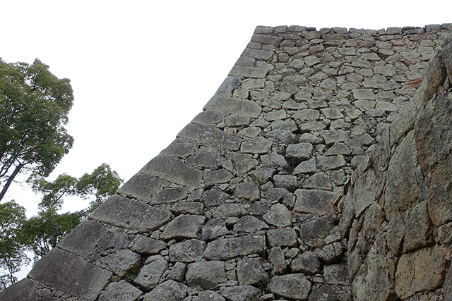 20151125-DSC01144