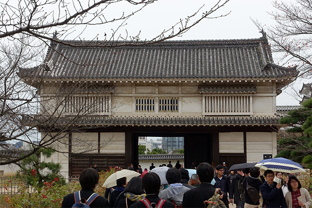 20151125-DSC01149