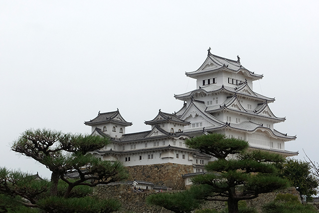 20151125-DSC01156