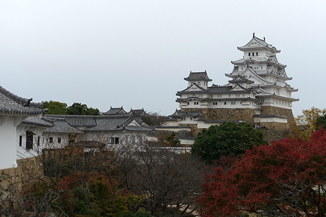 20151125-DSC01182