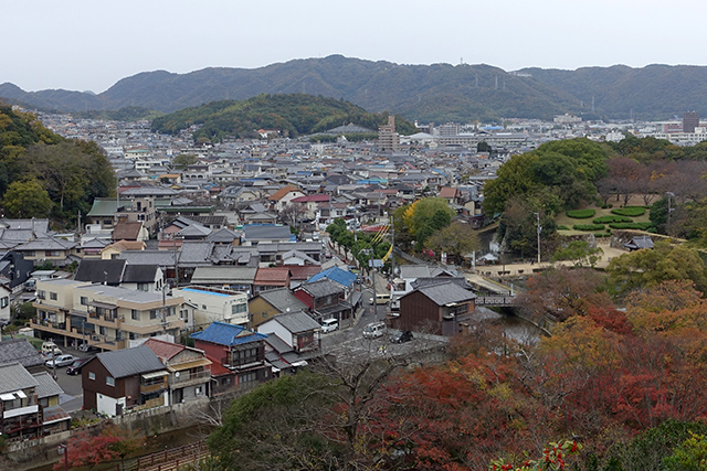 20151125-DSC01189