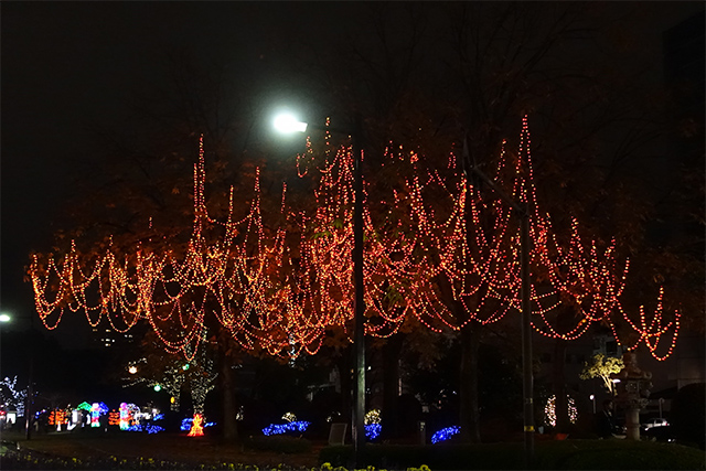 20151125-DSC01277