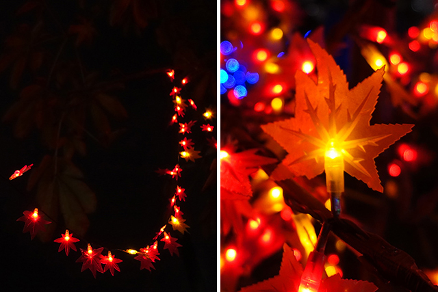 20151125-DSC01280