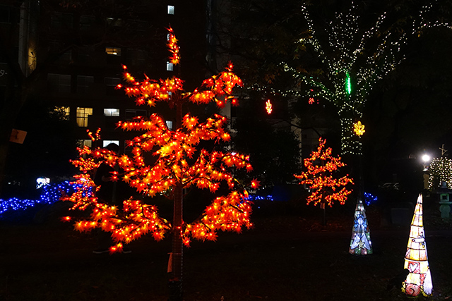 20151125-DSC01300