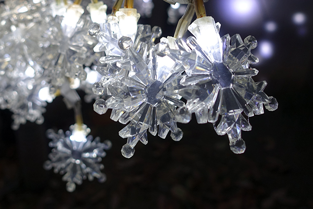 20151125-DSC01320