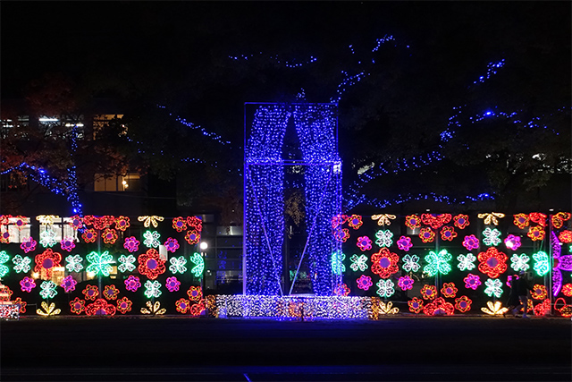 20151125-DSC01345