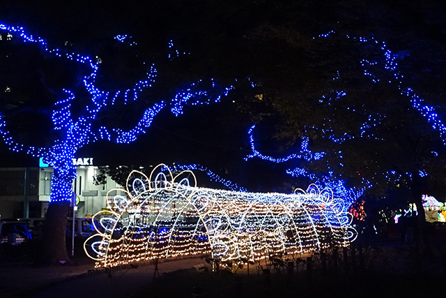 20151125-DSC01354