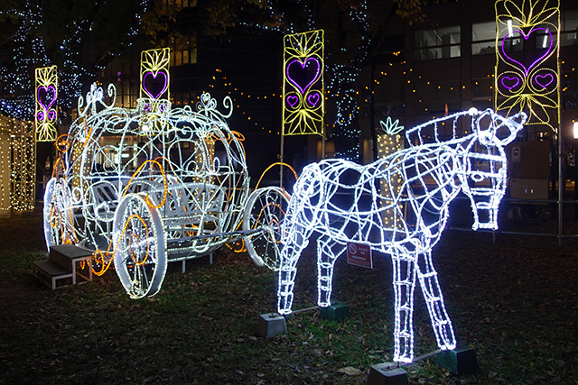 20151125-DSC01376