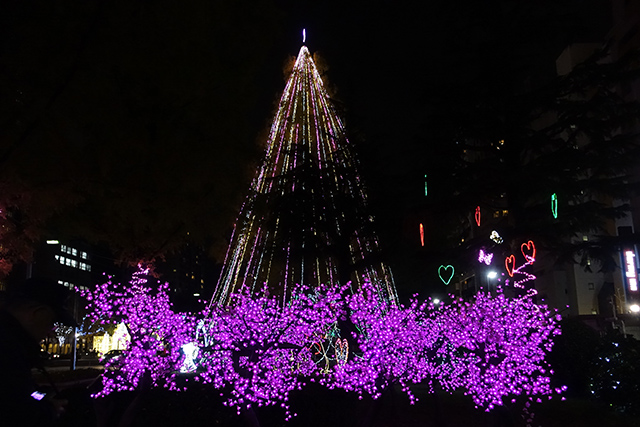 20151125-DSC01395
