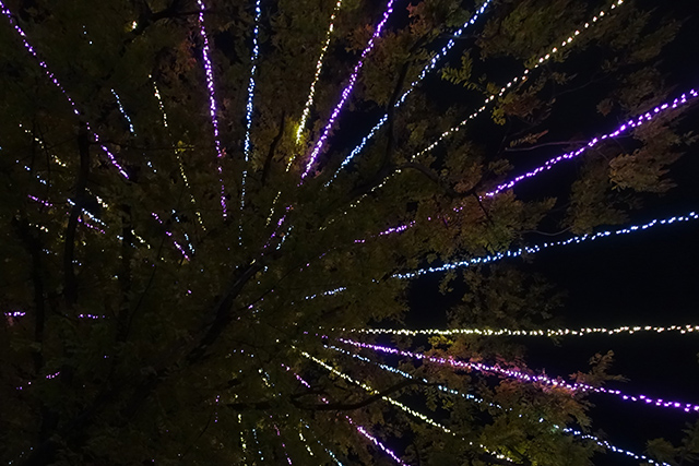 20151125-DSC01423