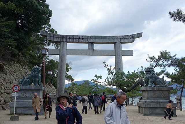 20151126-DSC01607