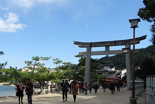 20151126-DSC01610