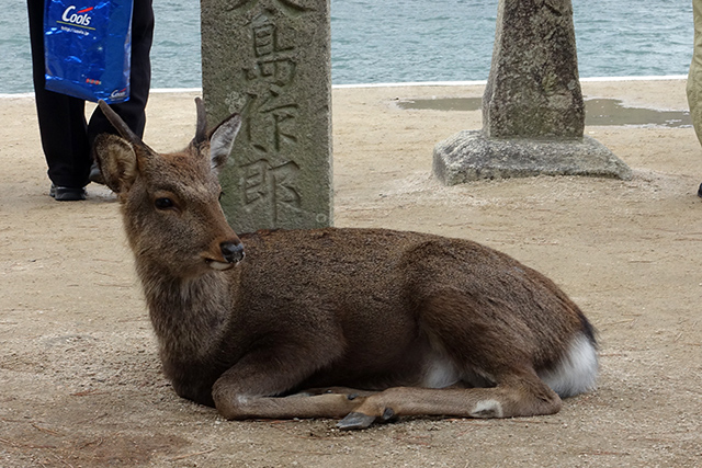 20151126-DSC01624