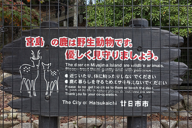 20151126-DSC01645