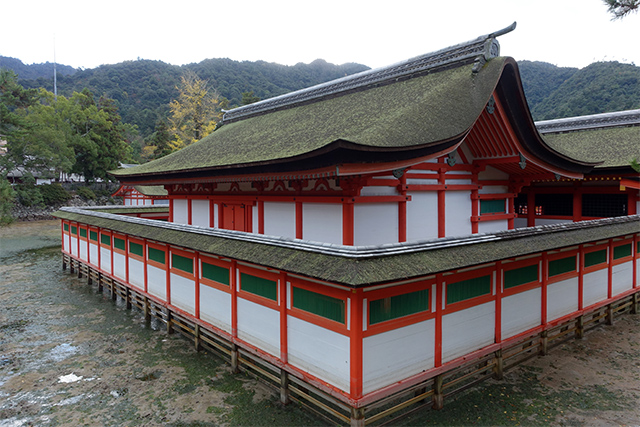 20151126-DSC01646