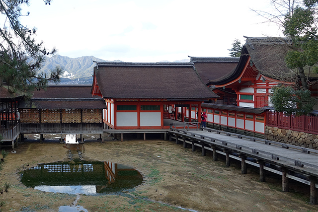 20151126-DSC01689