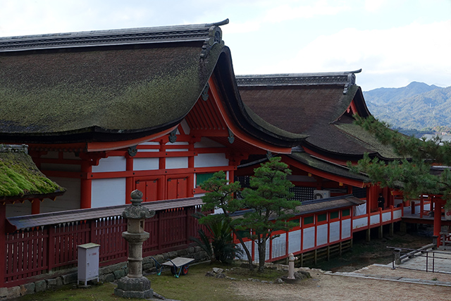 20151126-DSC01693