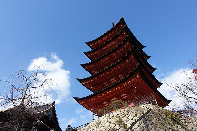 20151126-DSC01703