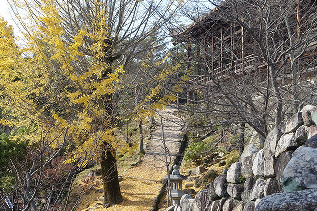 20151126-DSC01705