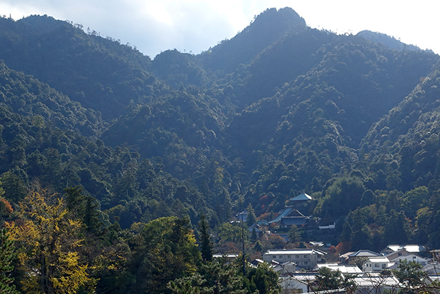 20151126-DSC01714