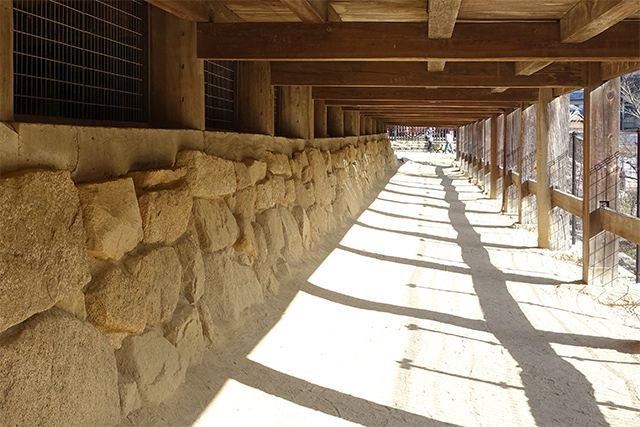 20151126-DSC01719