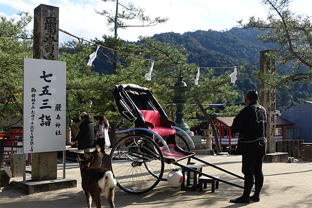 20151126-DSC01742