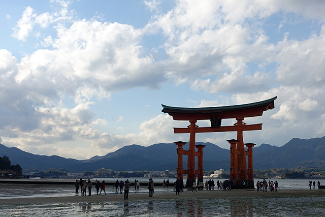 20151126-DSC01799