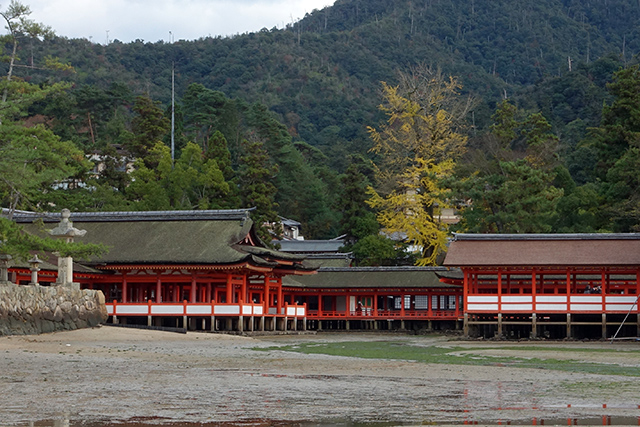 20151126-DSC01836