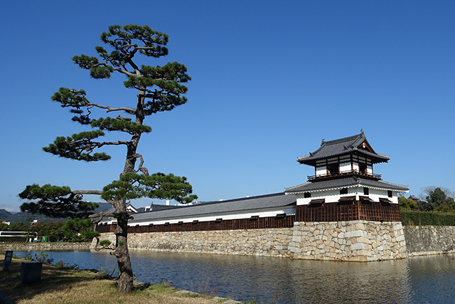 20151127-DSC01964