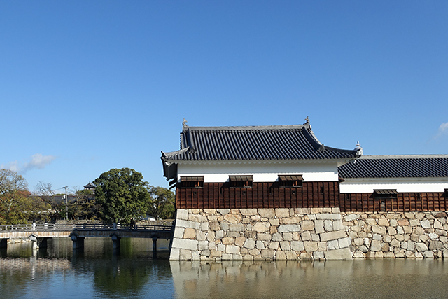 20151127-DSC01972