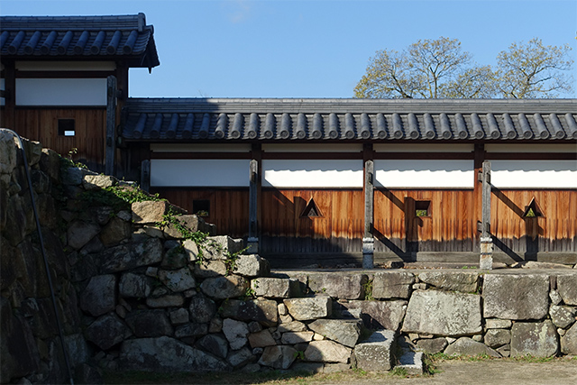 20151127-DSC01984