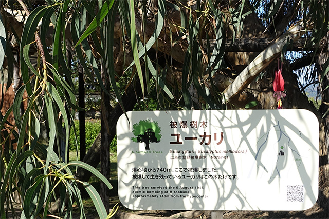 20151127-DSC01985