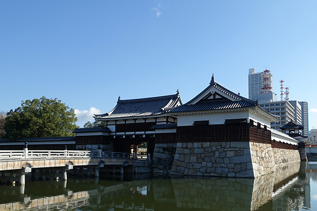 20151127-DSC02023