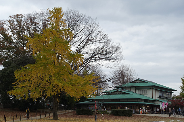 20151128-DSC02335