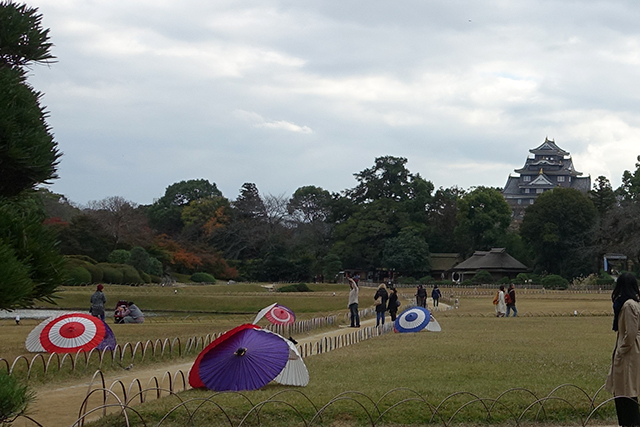 20151128-DSC02341