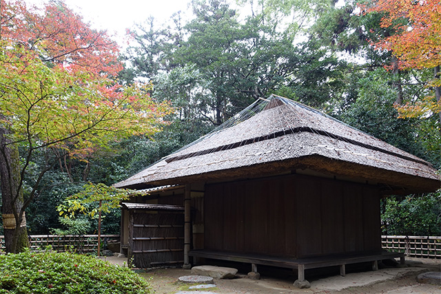 20151128-DSC02395