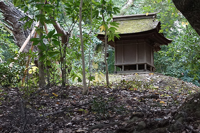 20151128-DSC02402