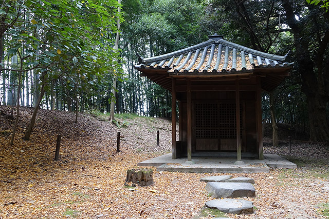 20151128-DSC02423