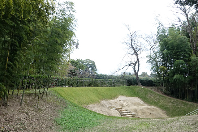 20151128-DSC02447