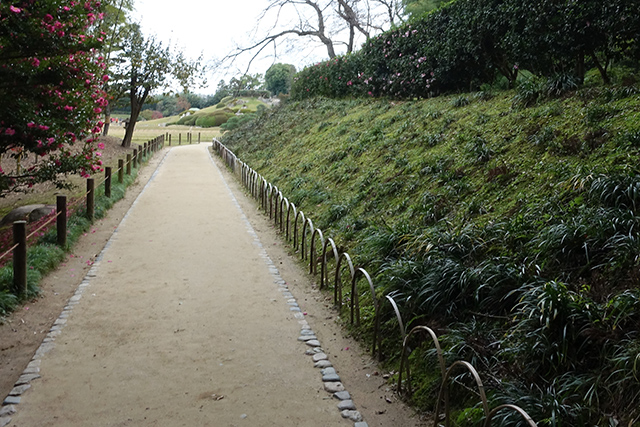 20151128-DSC02467