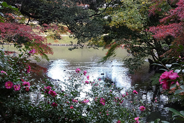20151128-DSC02469