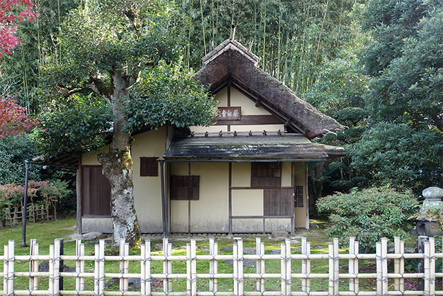 20151128-DSC02534