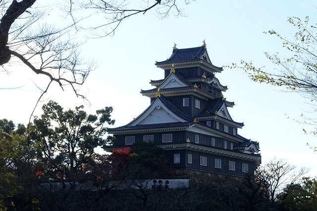 20151128-DSC02557
